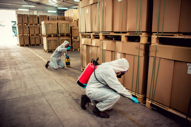 Best Mosquito Control Services  in Ellenton, FL