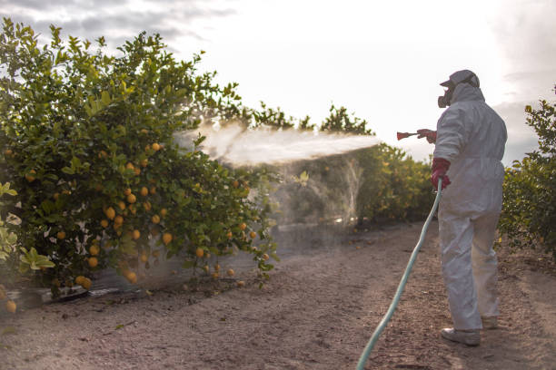 Trusted Ellenton, FL Pest Control Experts