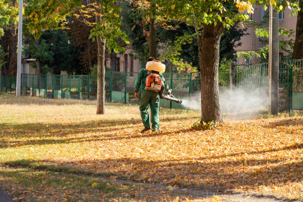 Professional Pest Control in Ellenton, FL