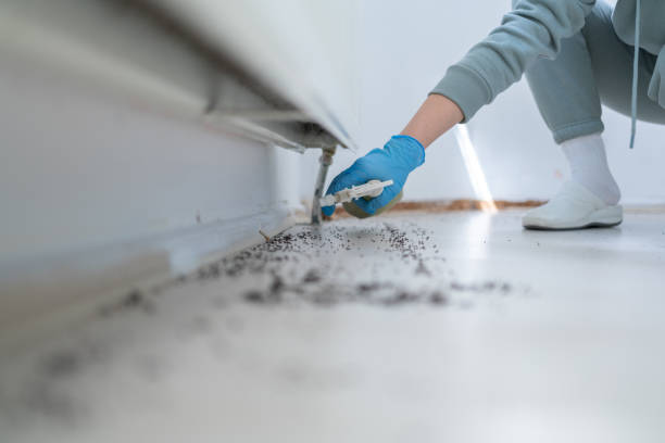 Best Pest Control Near Me  in Ellenton, FL
