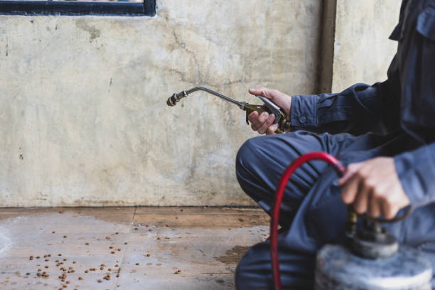 Best Pest Control Treatment  in Ellenton, FL